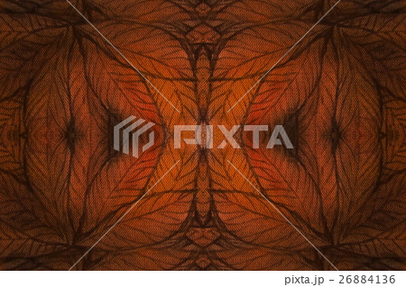 abstract background collage with autumn leaves and 26884136