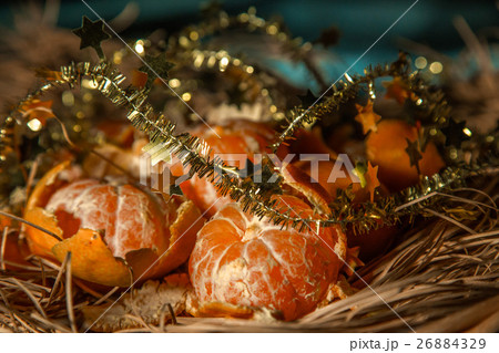 mandarins with christmas garlands 26884329