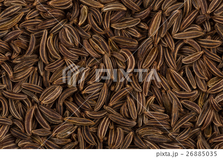 Close up caraway seeds 26885035