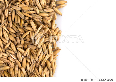 natural oat grains background, closeup 26885059