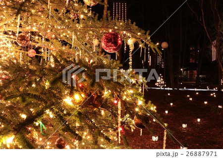 軽井沢のクリスマスツリー 26887971