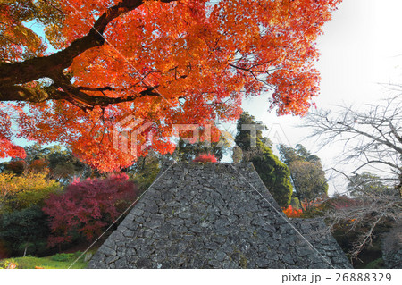 人吉城跡の紅葉 26888329
