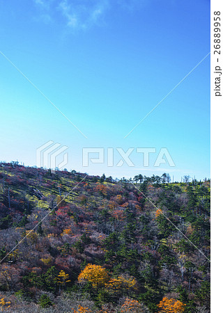 大台ヶ原の紅葉 26889958