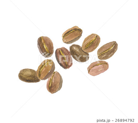 コーヒー豆 26894792