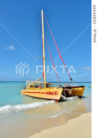 ハワイの休日 ハワイの休日 26895494