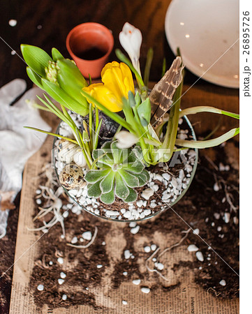 spring flowers spring flowers 26895726