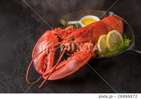 高級ロブスター  High-quality lobster 高級ロブスター  High-quality lobster 26896872