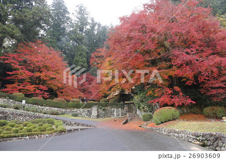 吉水園 吉水園 26903609