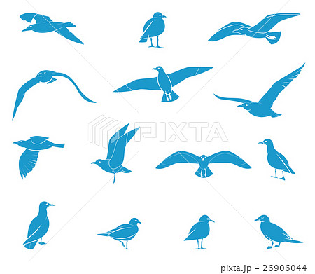 Silhouettes Of Flying Seagulls のイラスト素材