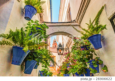 Beautiful White Walls Decorated with Colorful 26906622