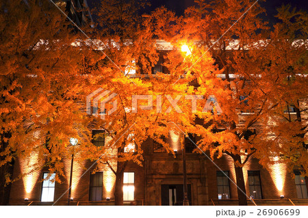 レトロな建物と銀杏のコラボ 26906699