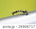 愛 恋 ラブ 26906717