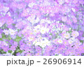 華やか 色鮮やか 鮮やかな 26906914