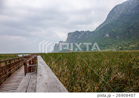 Khao Sam Roi Yod National Park, Thailand. 26908407