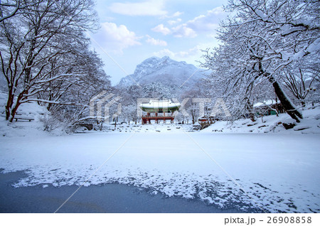 Baekyangsa Temple and falling snow. 26908858