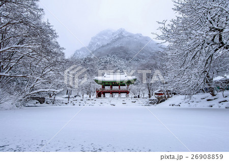 Baekyangsa Temple and falling snow. Baekyangsa Temple and falling snow. 26908859