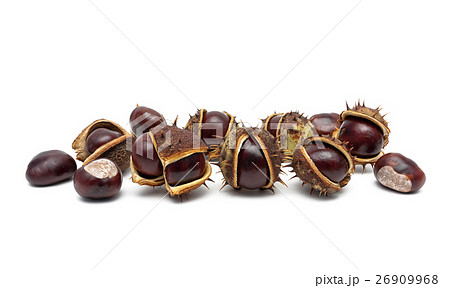 Chestnut fruit isolated on white background. 26909968