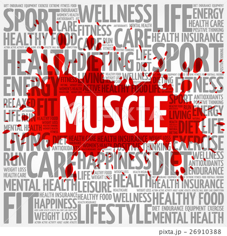 Muscle word cloud background Muscle word cloud background 26910388