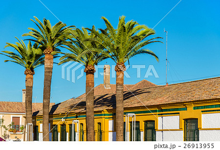 Palm trees and typical houses in Cordoba, Spain 26913955