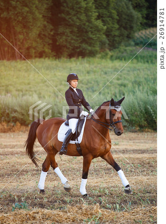 woman riding brown horse wearing helmet in field woman riding brown horse wearing helmet in field 26914781