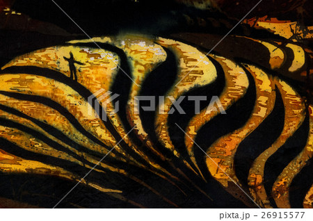 Man on rice terraces, fragment, hot batik 26915577