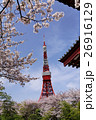 東京タワーと桜 26916129