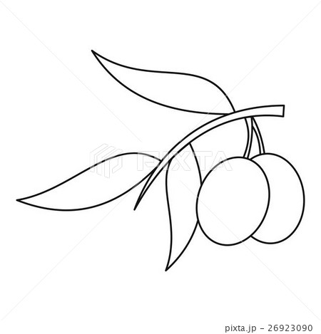 Olive branch with olives icon, outline style Olive branch with olives icon, outline style 26923090