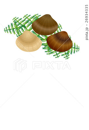 ハマグリ 26934335