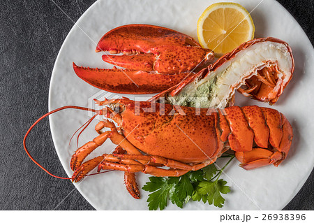 高級ロブスター High-quality lobster 高級ロブスター High-quality lobster 26938396