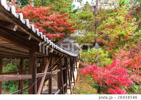 秋の京都　高台寺　臥龍廊 26938586