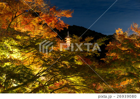 清水寺 - 夜景 清水寺 - 夜景 26939080