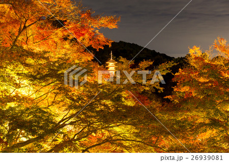 清水寺 - 夜景 26939081
