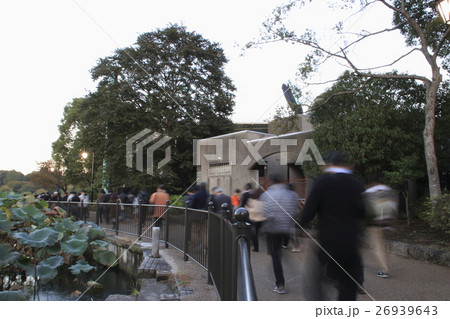 レアポケモンを追いかける楽しむ人々（不忍池） 26939643