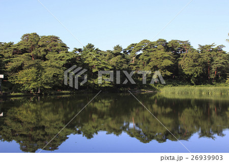 大宮公園の池 26939903