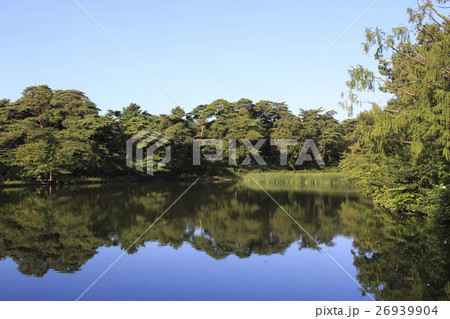 大宮公園の池 大宮公園の池 26939904