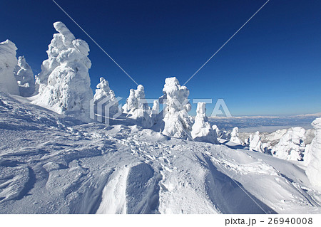 蔵王温泉スキー場 樹氷の写真素材