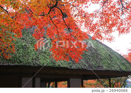 九年庵の秋 26940066