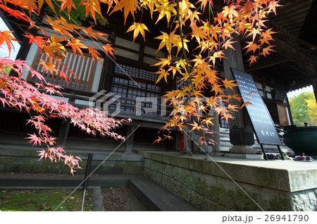 紅葉する浄信寺境内 26941790