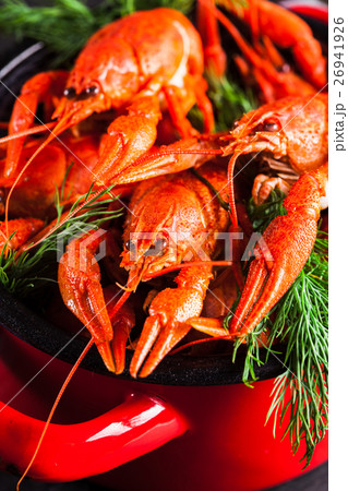 Boiled lobster close-up 26941926