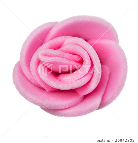 flower head on a white background flower head on a white background 26942805
