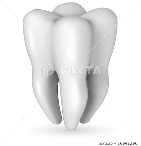 Healthy white molar tooth realistic illustration 26943296