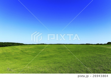 7月の青空と草原 北海道根釧台地の広大な夏景色の写真素材