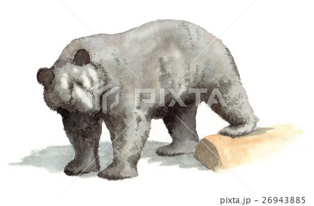 クマキチ クマキチ 26943885