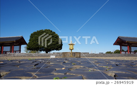 上総国分尼寺跡 26945919
