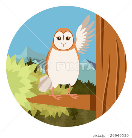 Screech-Owl on the flat tree background 26946530