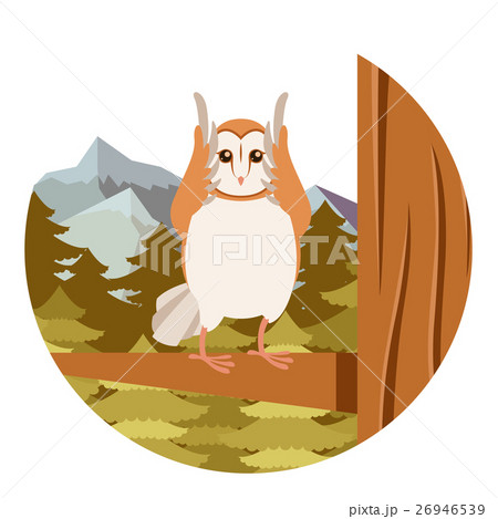 Screech-Owl on the flat tree background 26946539