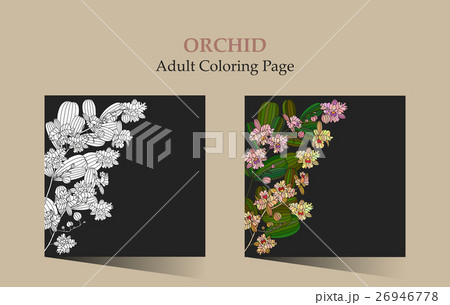 Cards with tropic flower - orchid. 26946778