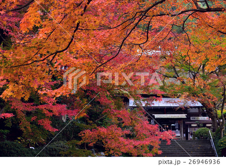 大興善寺の紅葉 26946936