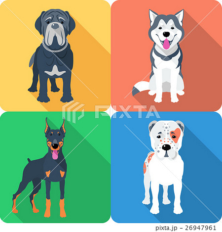 dog Neapolitan Mastiff icon flat design dog Neapolitan Mastiff icon flat design 26947961