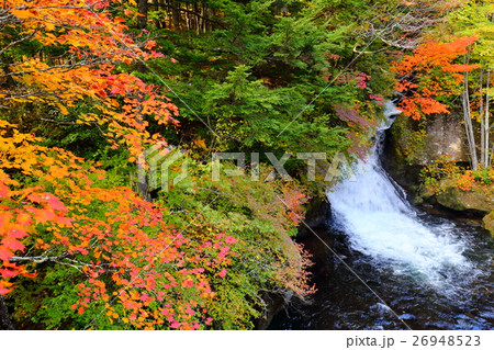 紅葉の奥日光　竜頭ノ滝 26948523